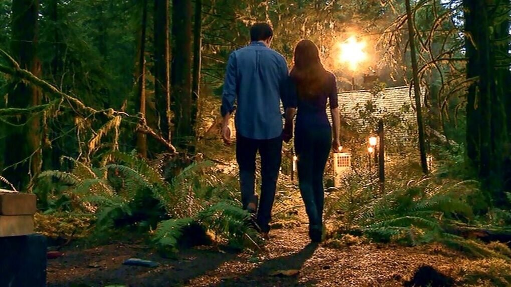 Он ее взял в лесу. Любовь подростков в лесу. Любовь в лесу. Он ее взял в лесу. Парень в лесу.