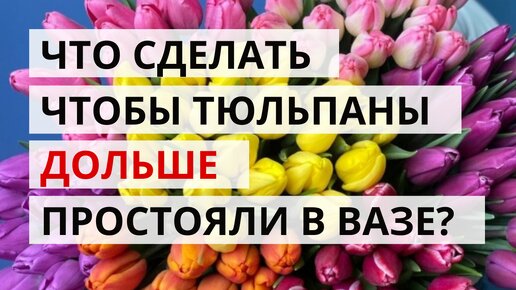 Как сохранить тюльпаны