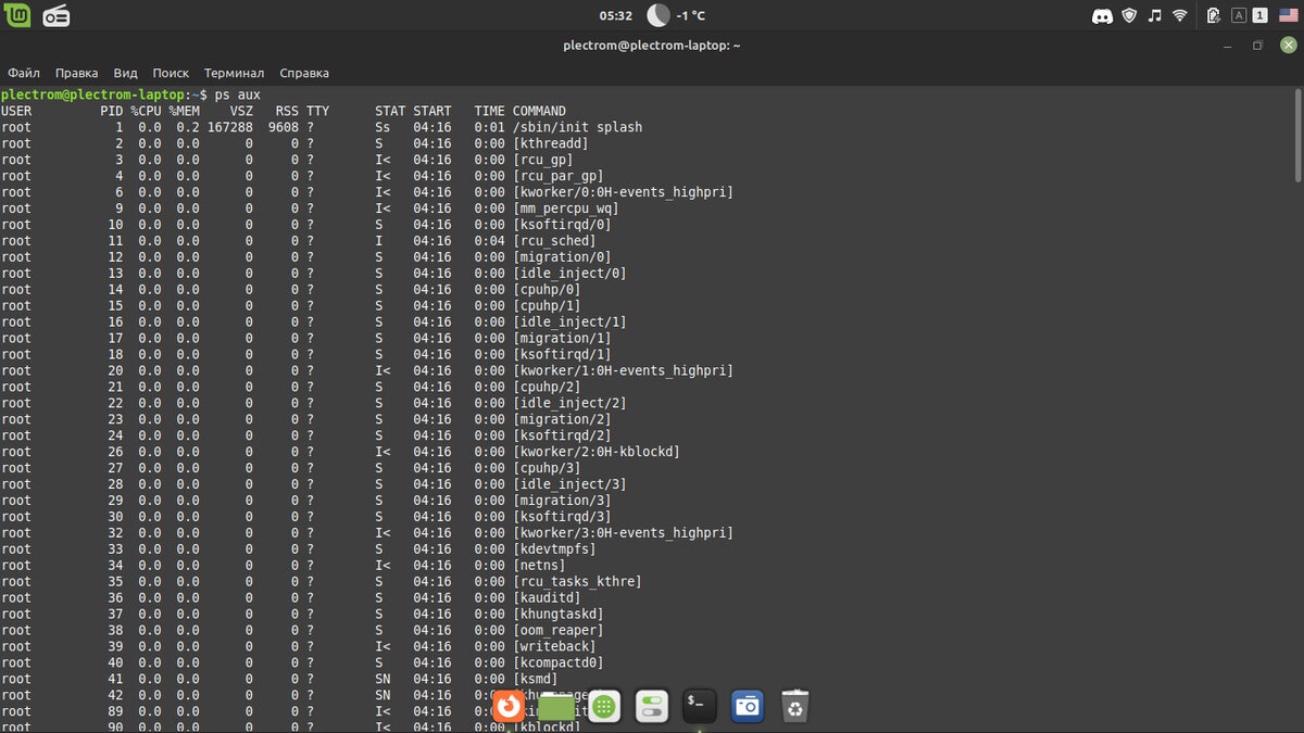 Вывод команды ps aux.