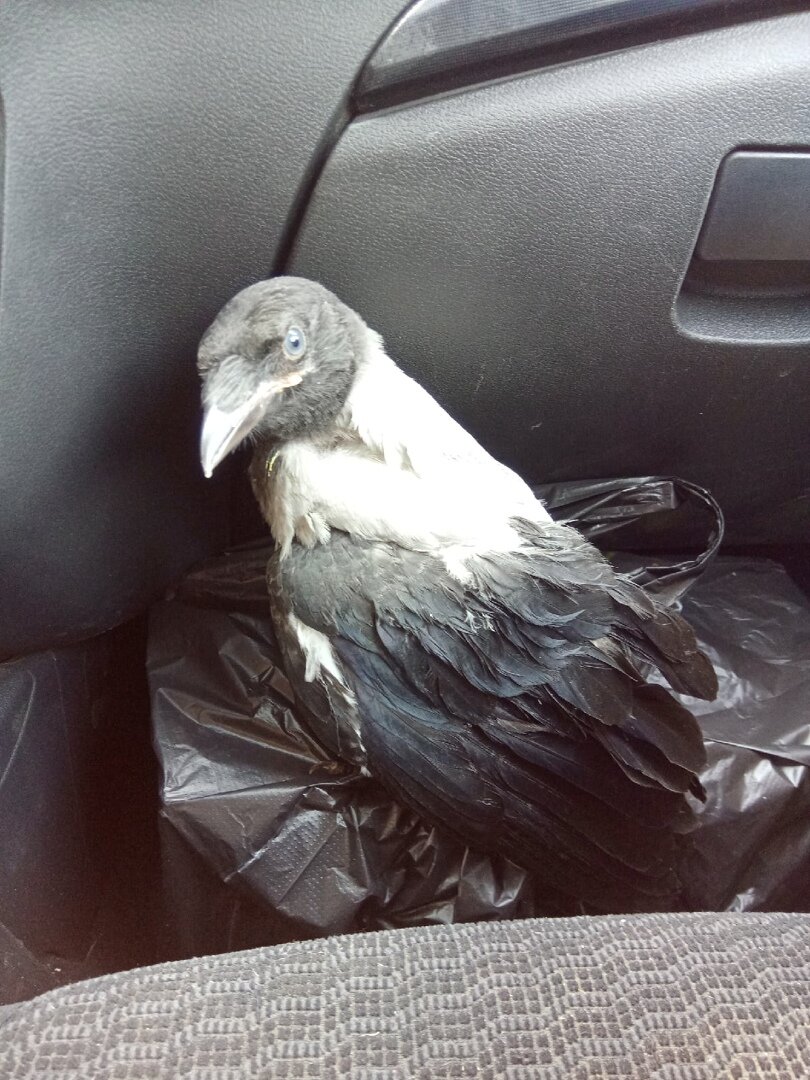 Фото из личного архива