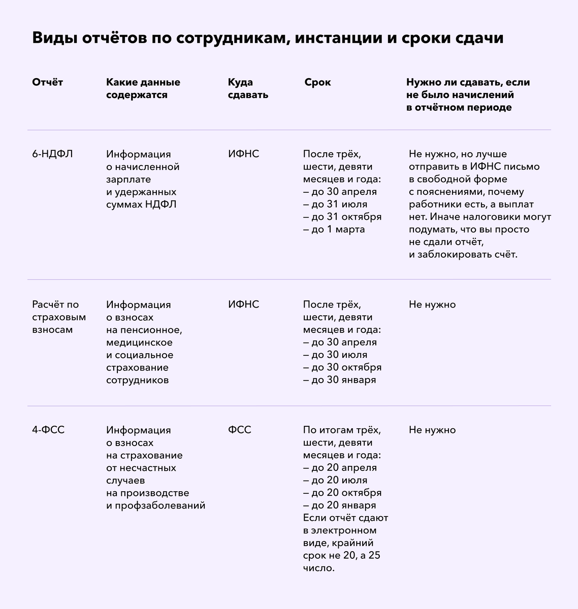 1 год срок сдачи отчетности