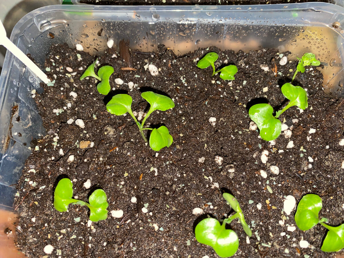 Личное фото 