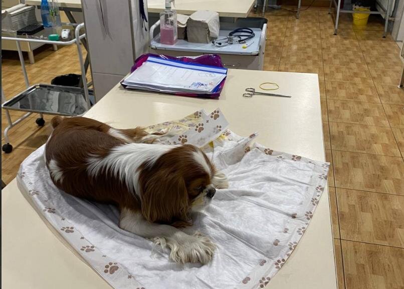 На приёме в симферопольской клинике Авва