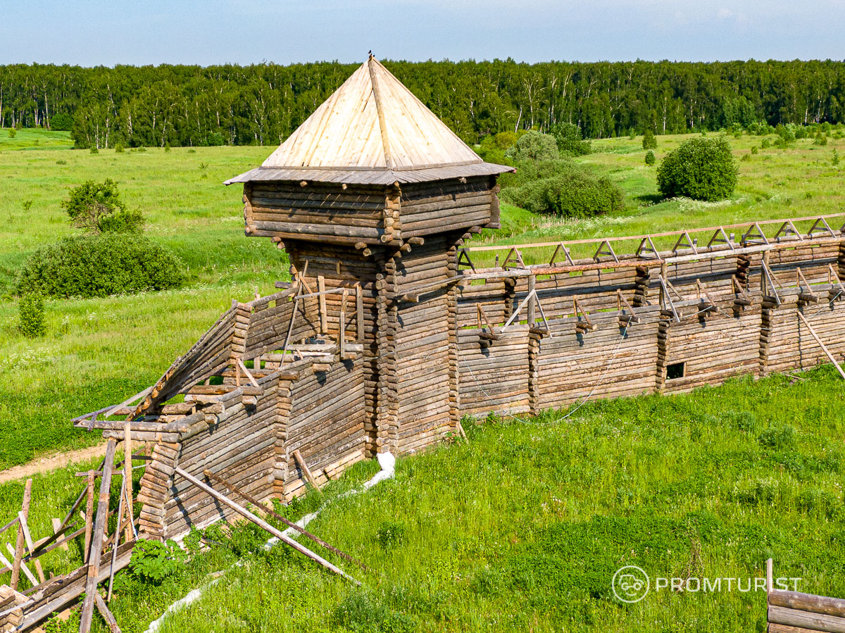 Деревни в России были чёрные. Объясняю, почему брёвна чернели 😱⬛️🏘11