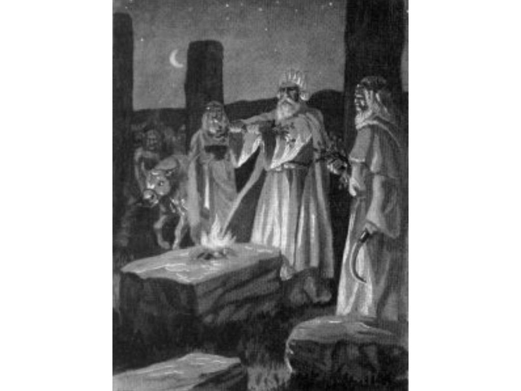 Древние кельтские друиды готовятся принести в жертву быка в рамках празднования Самайна после того, как они зажгли общий огонь.