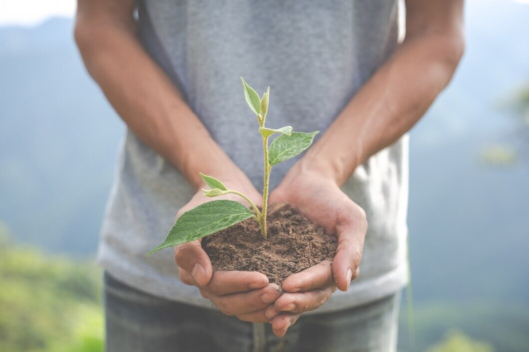 Семена помощи. Environmental Conservation in the Garden for children.