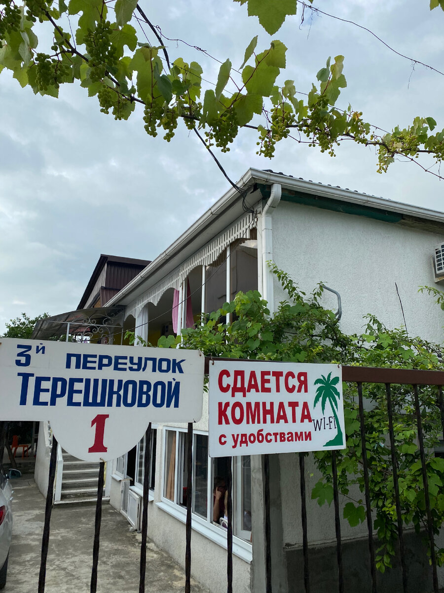 Виноград растёт везде