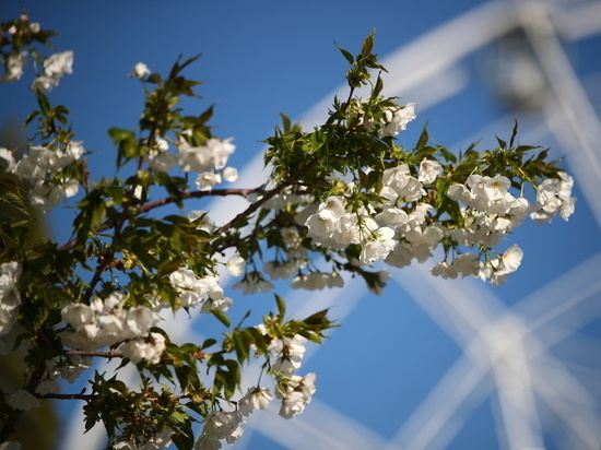     © Фото: ИД «Волгоградская правда» / Кирилл Брага / архив.