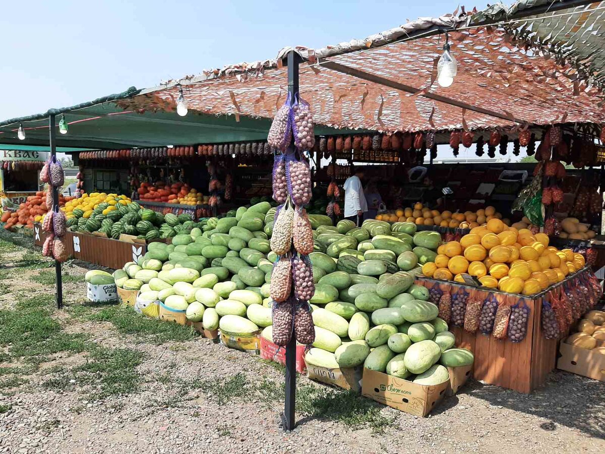 Выбор арбузов и дынь впечатляет 