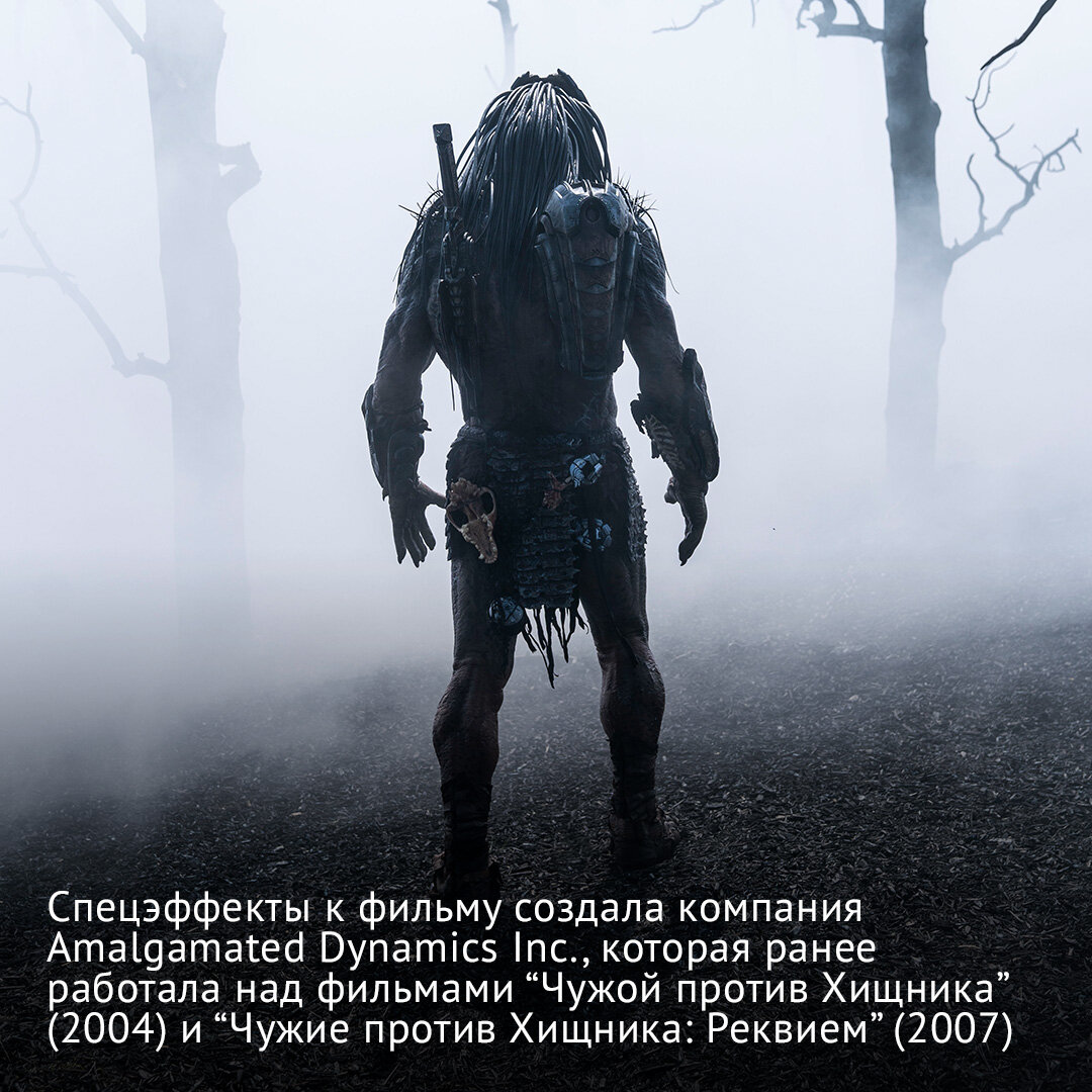 Хищник 6 добыча 2. Хищник 6 добыча 2. Хищник 6 добыча 2. Хищник 2022 постер. Хищник 6 добыча 2.