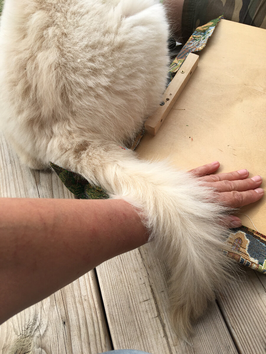 Фото мое Отношения Рича к труду мастера