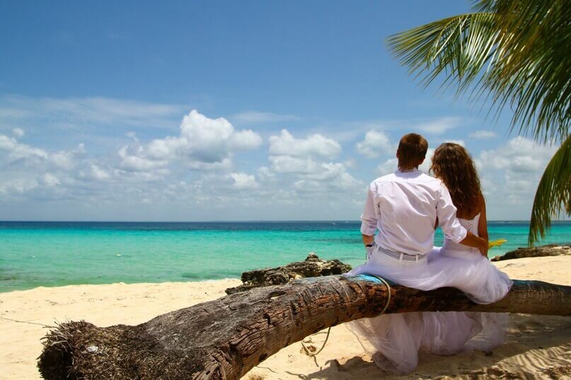 Картинка из общего доступа. Яндекс картинки 