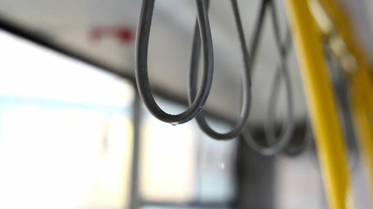     Курсирующий по проспекту Чулман в Набережных Челнах крупногабаритный автобус не заполняется пассажирами. Об этом сообщил руководитель ООО «Пассажирские перевозки» Николай Тятюшкин.