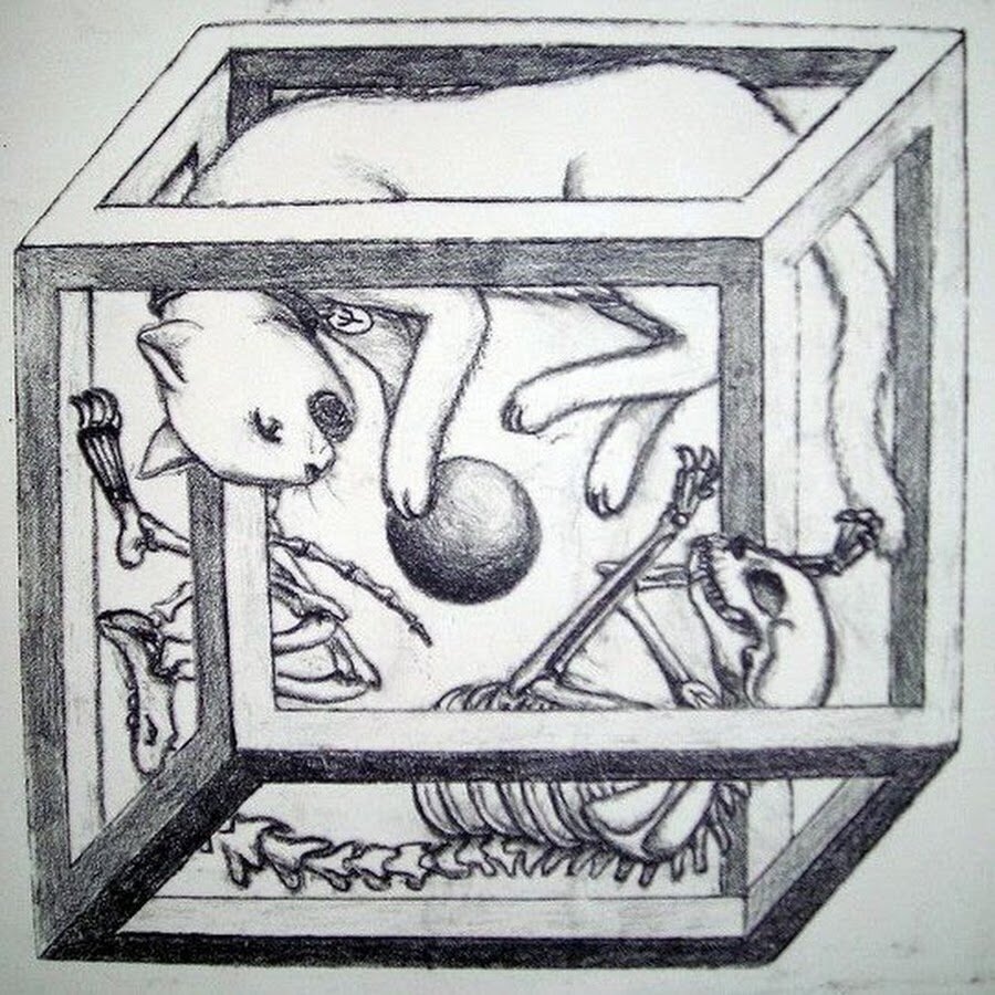 Кот Шрёдингера в кубе Эшера