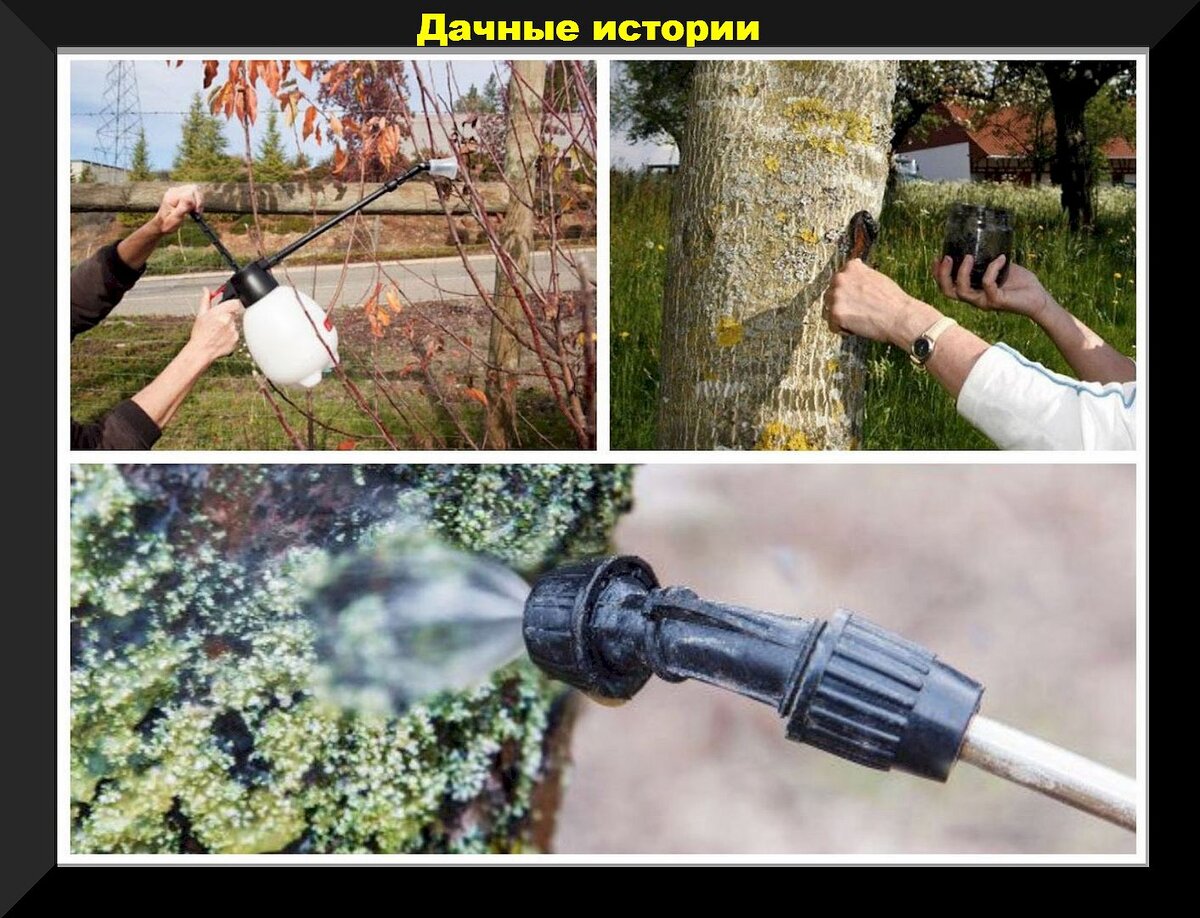 https://vk.com/photo-159774511_457261973