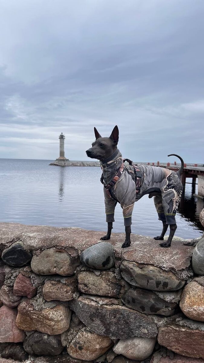 Маяк Вуохенсало