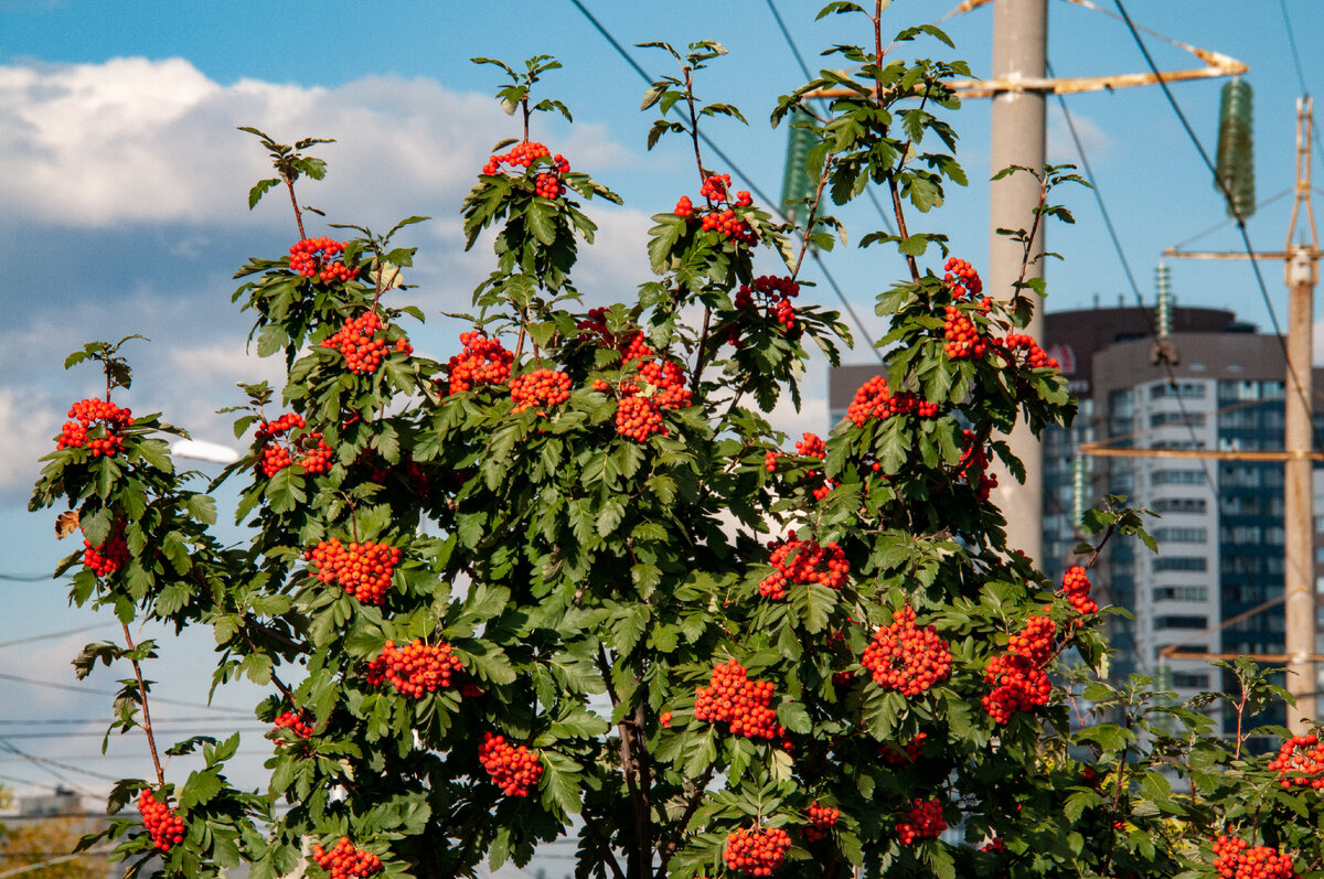 Фото: Svetlana Vozmilova/Global Look Press 