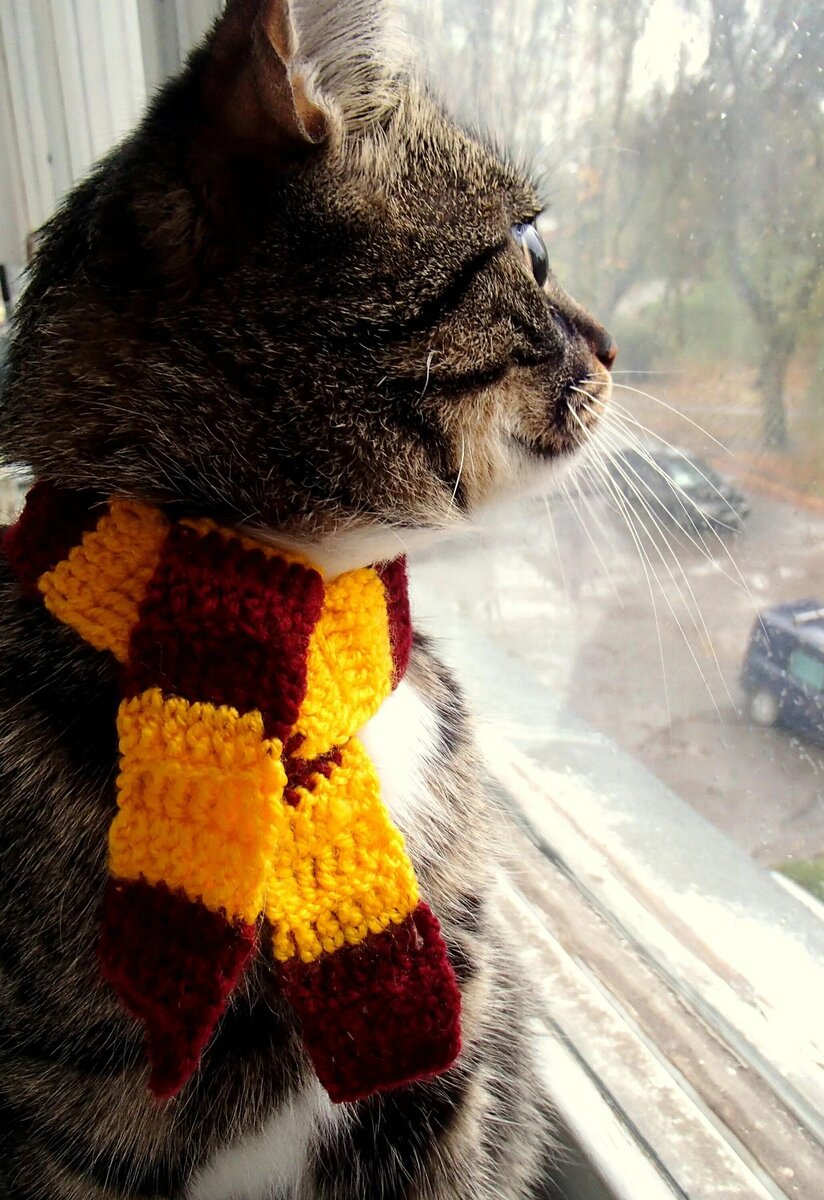 Источник: Яндекс картинки