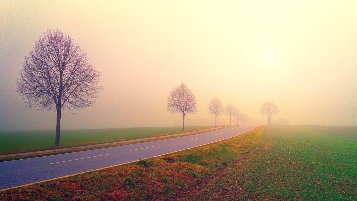 Авторское изображение взято с https://pixabay.com/