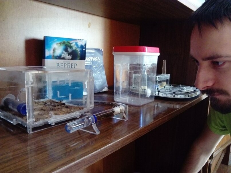 Человек. Наблюдает за муравьями. Источник: http://www.sobaka.ru/smr/city/portrety/103836