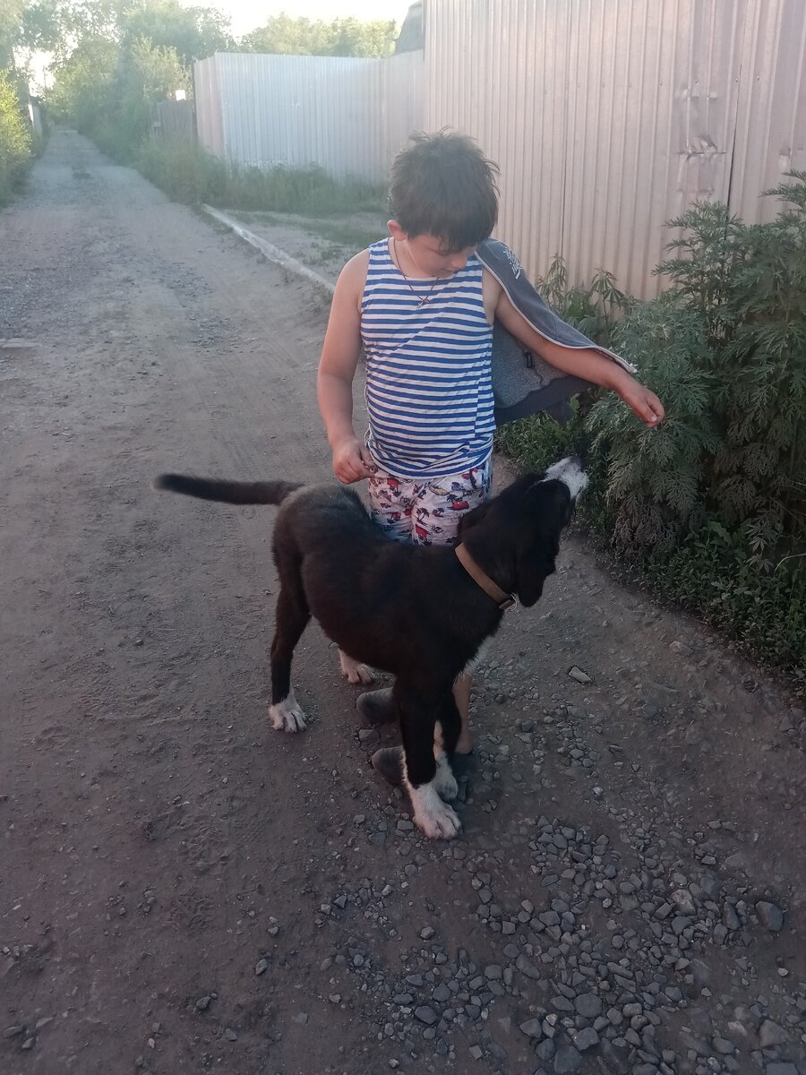 Вот он этот страшный зверь. 