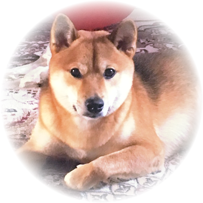 Я - живое существо!