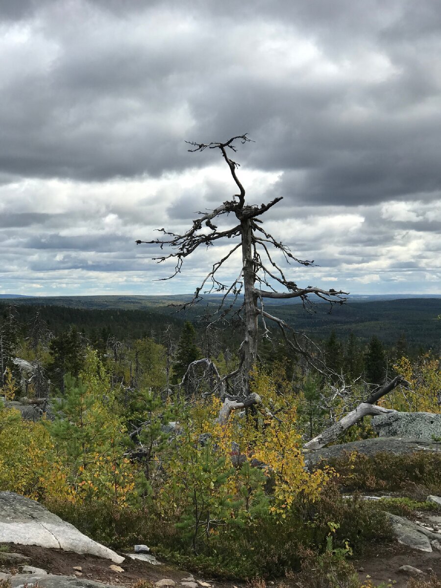 Фото автора канала