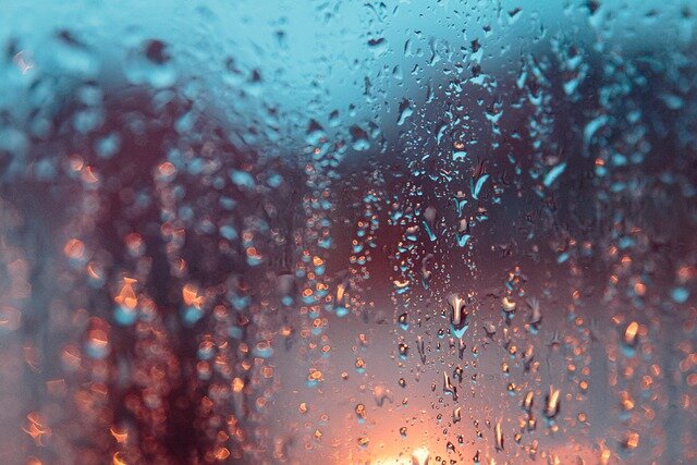 Фото Марселя Мельцига из Pixabay 