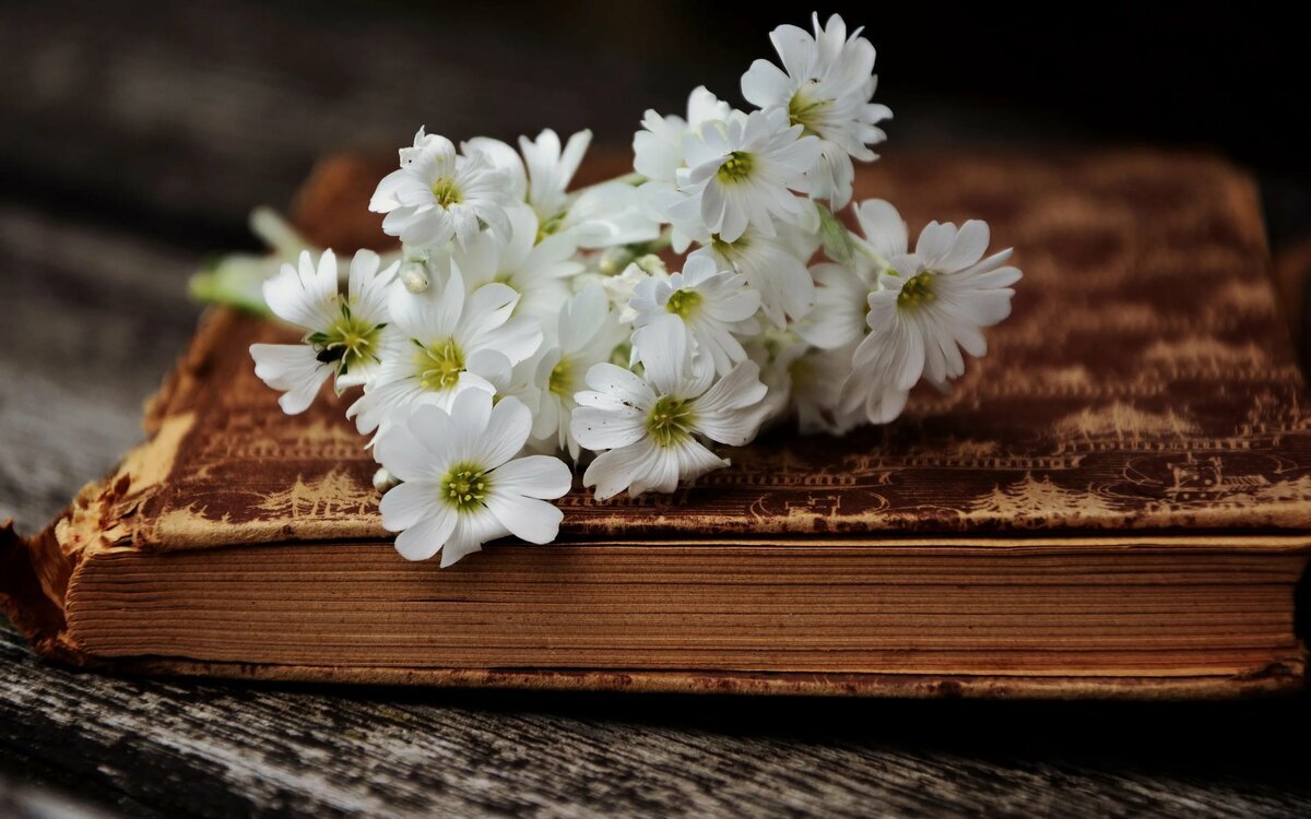 Фотография взята из открытых источников.