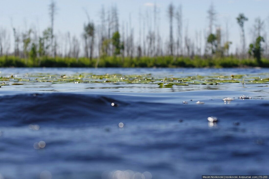 Озеро Мещерская заводь