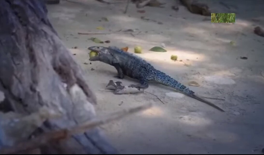 Фото https://myruserial.com/1851-ostrov-geroev/seriya/6 