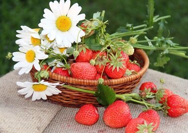 Тамара Коханская