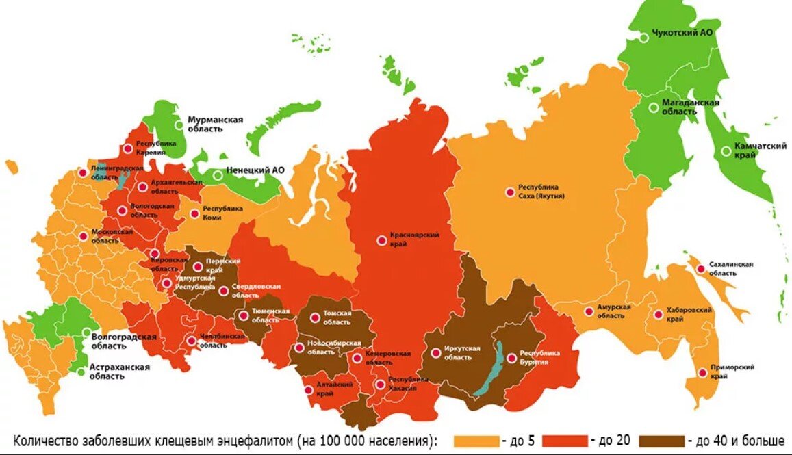 Карта заболеваемости клещевым энцефалитом в России