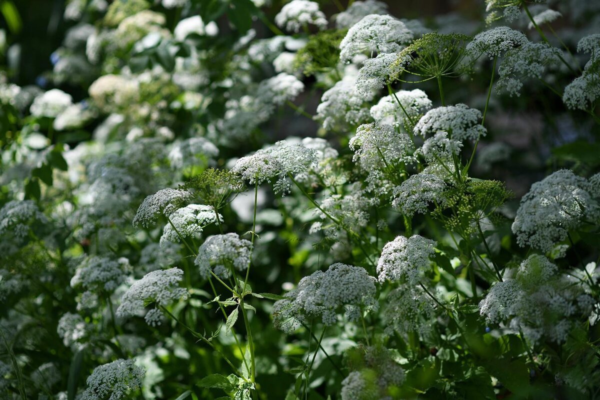 Фото: Ника Морозова