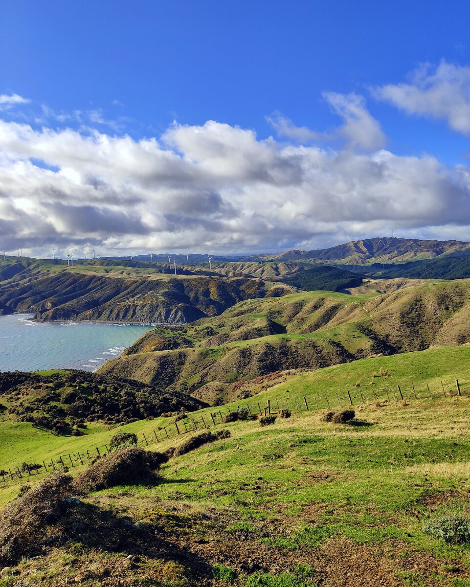 Makara Wind Farm, North Island, New Zealand
