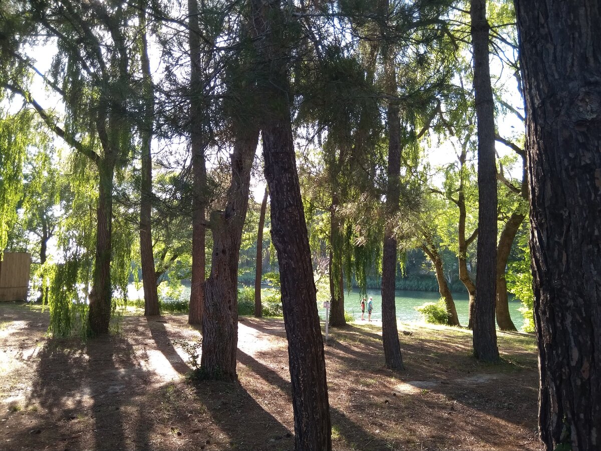 Фото автора,июль 2020 год поселок Криница