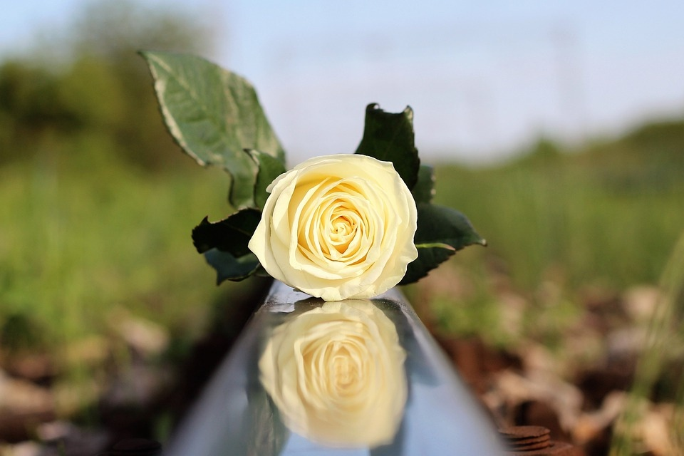 Фото с pixabay