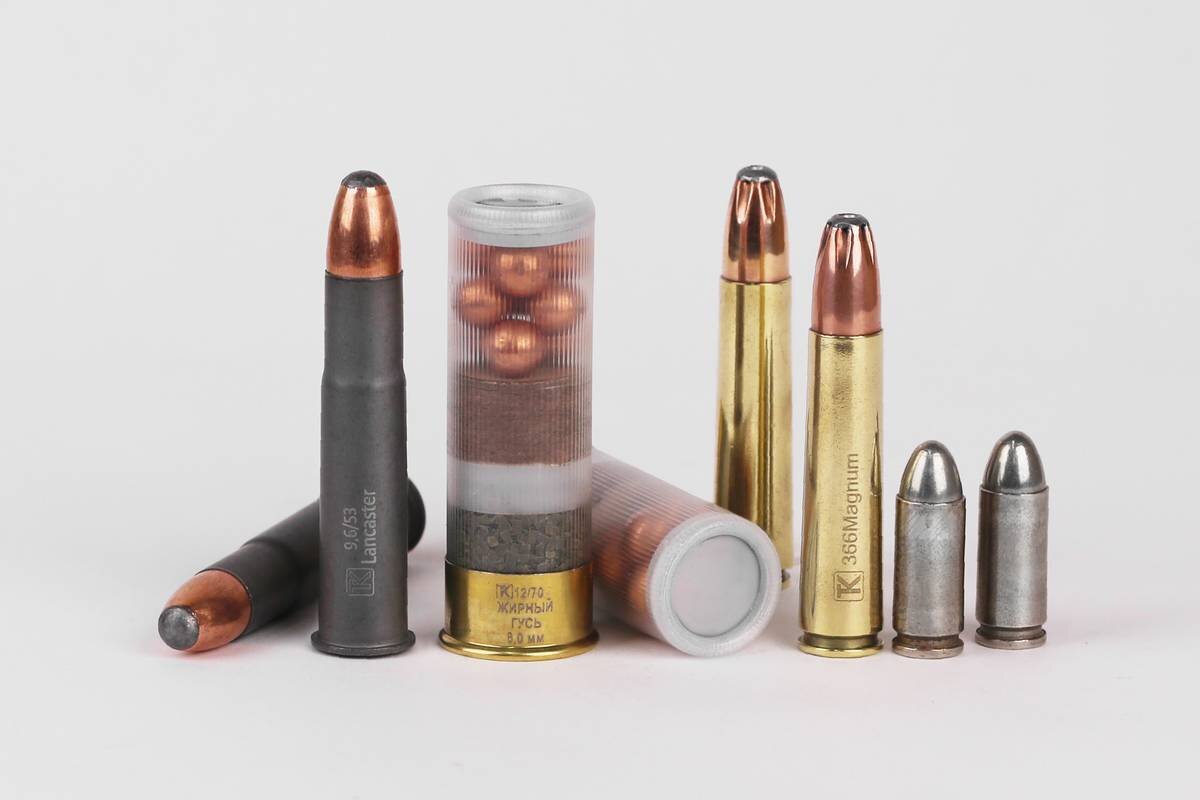 Общий вид патронов