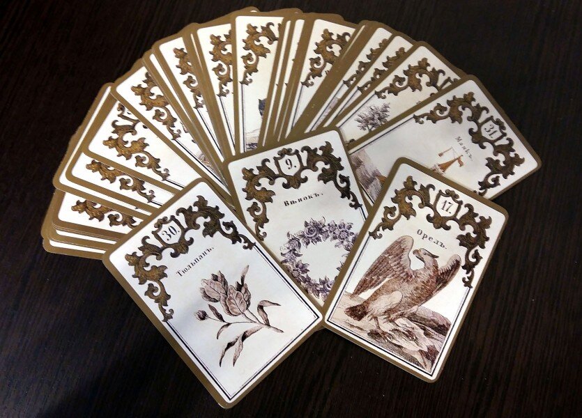 Фото из открытых источников 