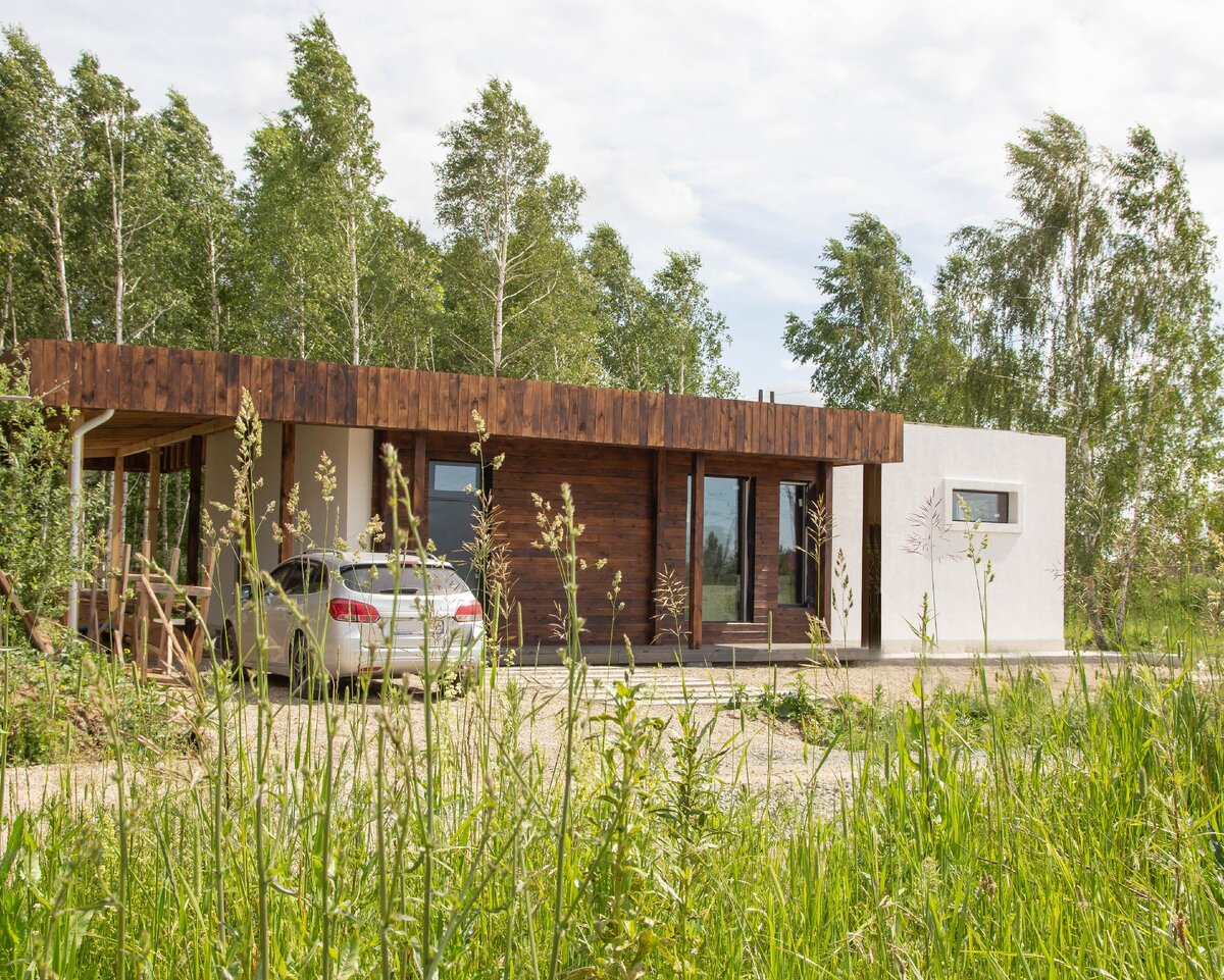 Июнь 2020, с. Новолуговое , Новосибирская область