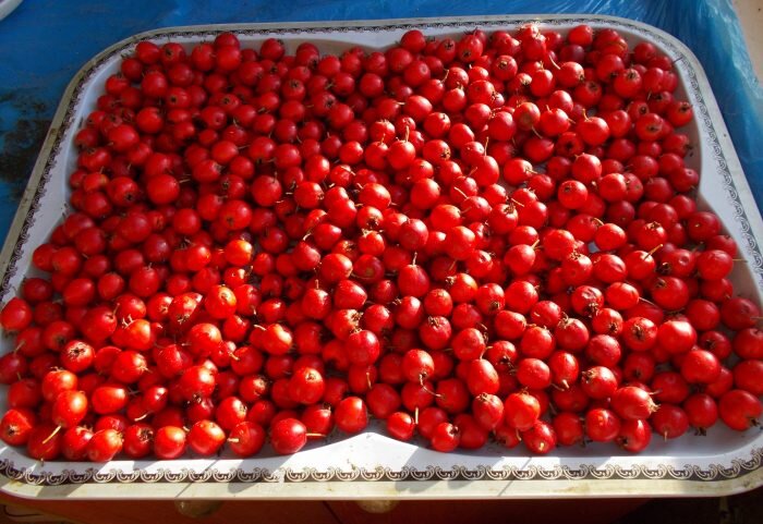 Боярышник можно засушить или заморозить на зиму