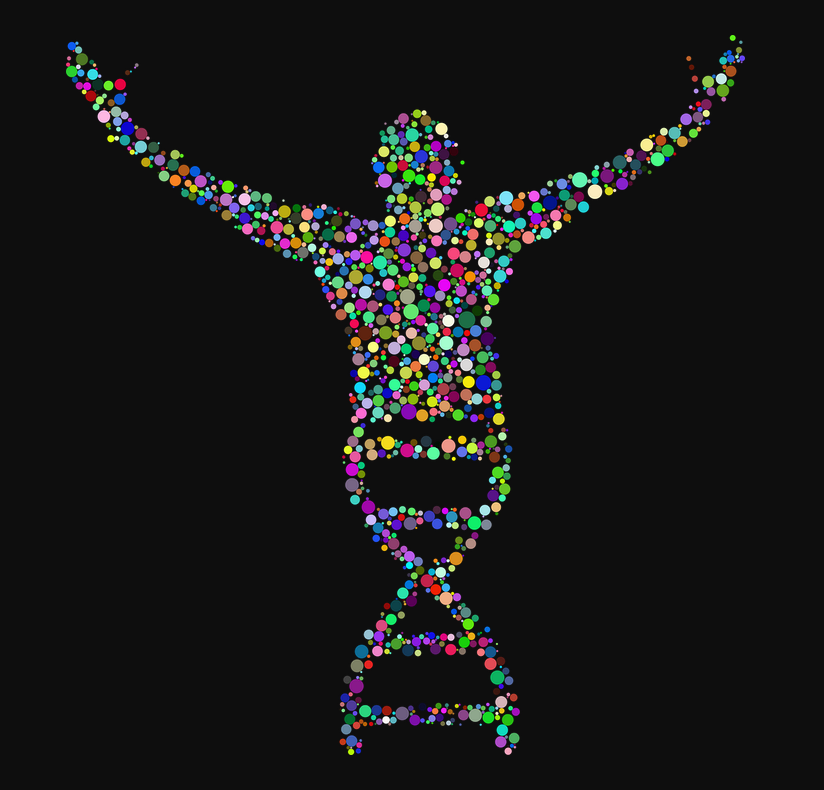 Составные элементы человеческого организма в представлении художника