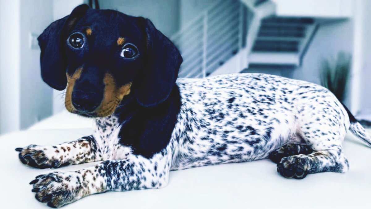 Какие глаза, просто чудо