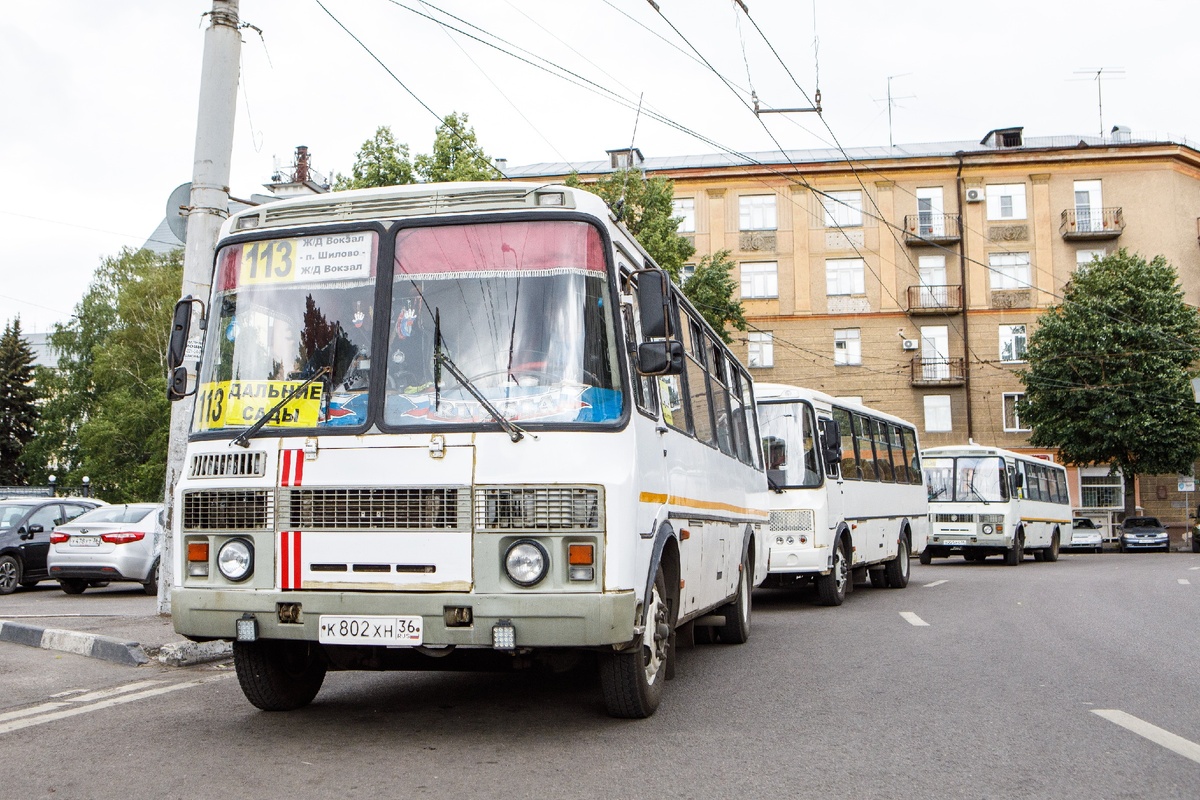 фото: vrnoblduma