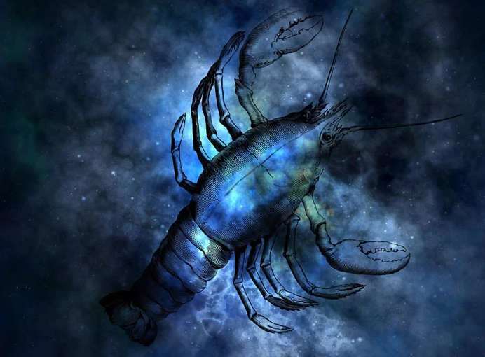 Рак. Изображение из открытых источников. 