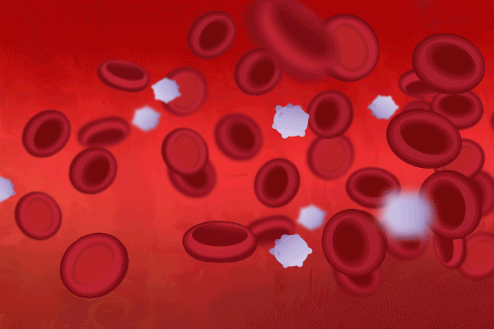 анимация "движение крови" (источник на Behance.net)
