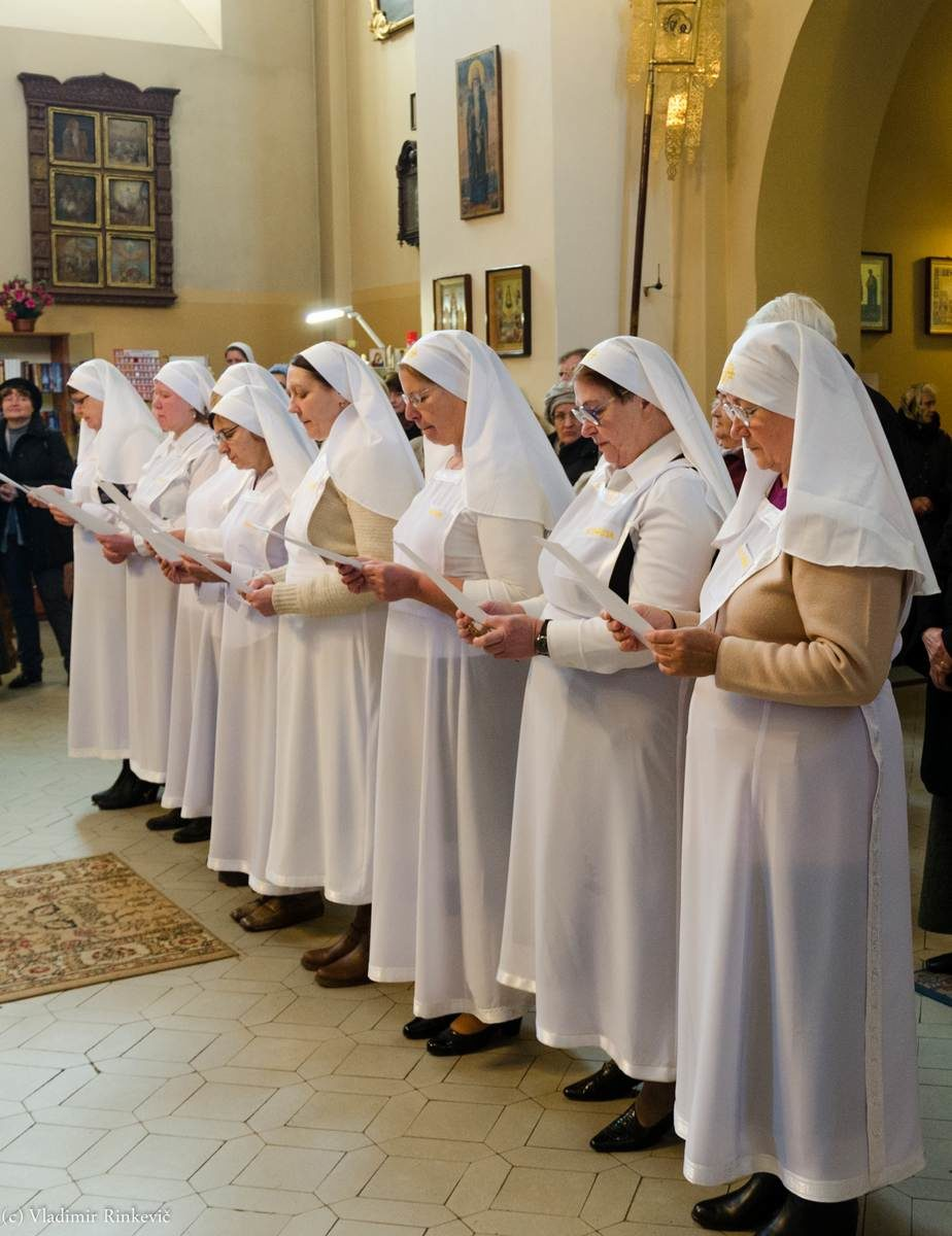 Источник фото: Яндекс. Картинки.