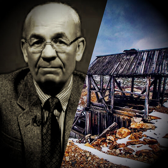 Александр Домрин, американист. Иллюстрации с ресурса Яндекс.Картинки