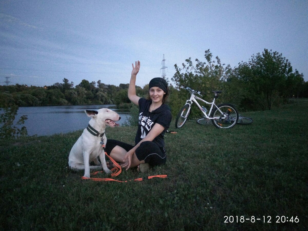 Вкручивать ли быстрее, если за велом погналась собака | 🚲 Два Колеса | Дзен