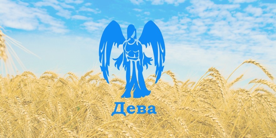 Иллюстрация из открытых источников. 